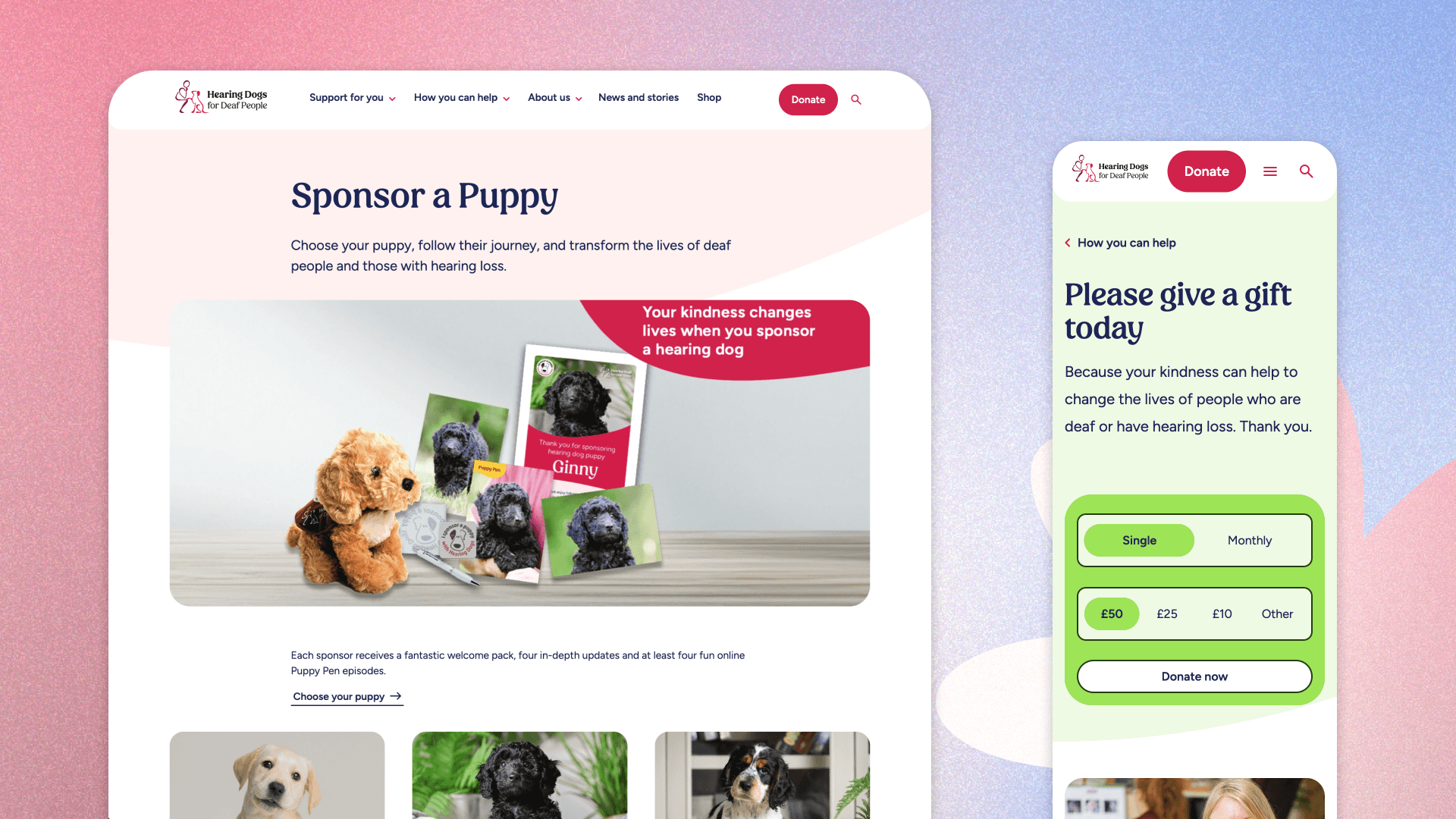 Hearing Dogs Case Study Header