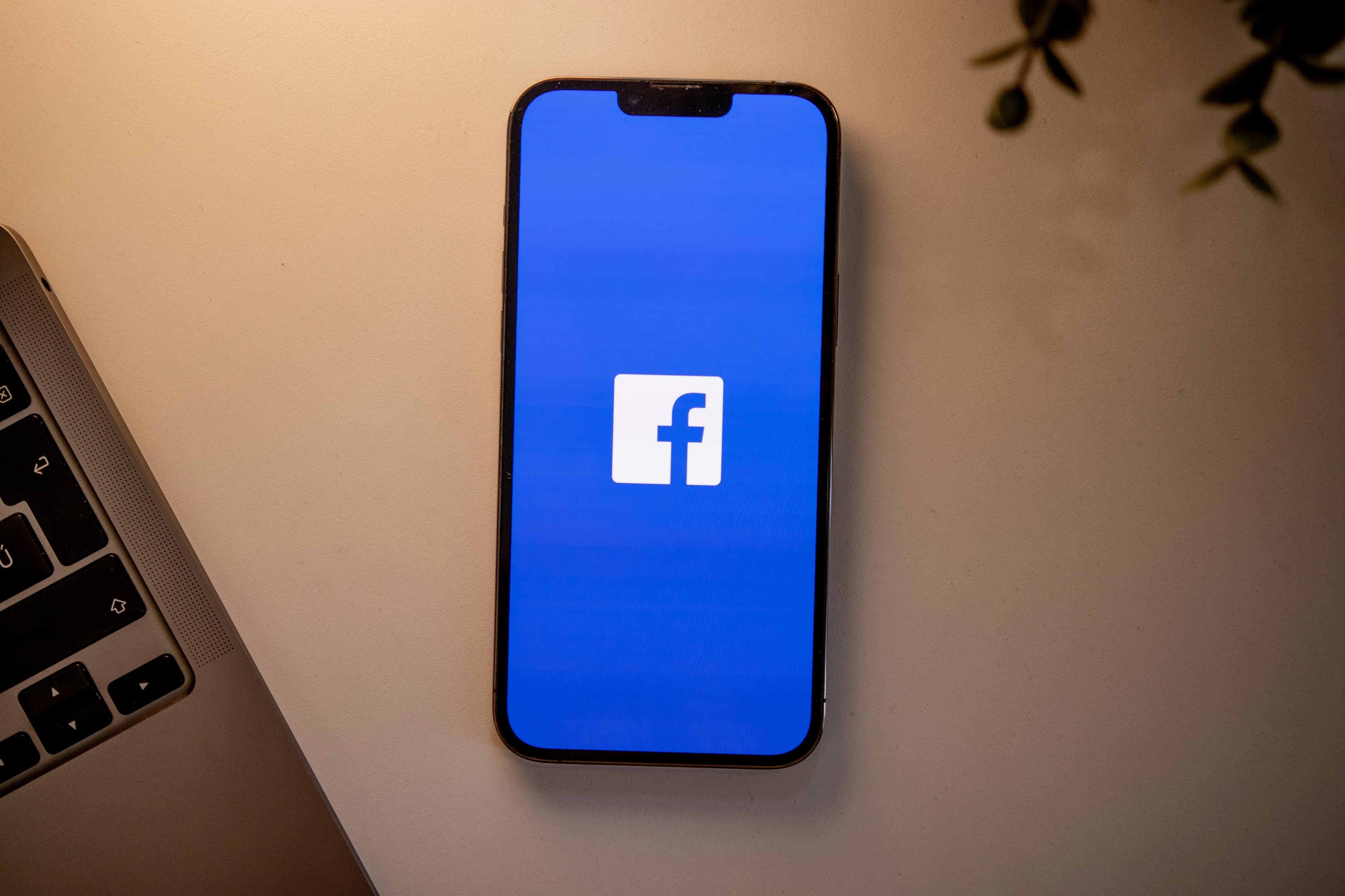 Mobile phone with Facebook logo