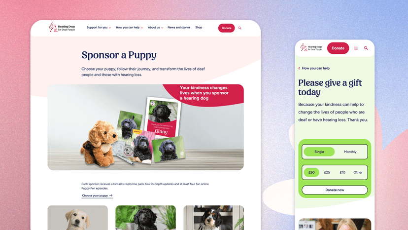 Hearing Dogs Case Study Header
