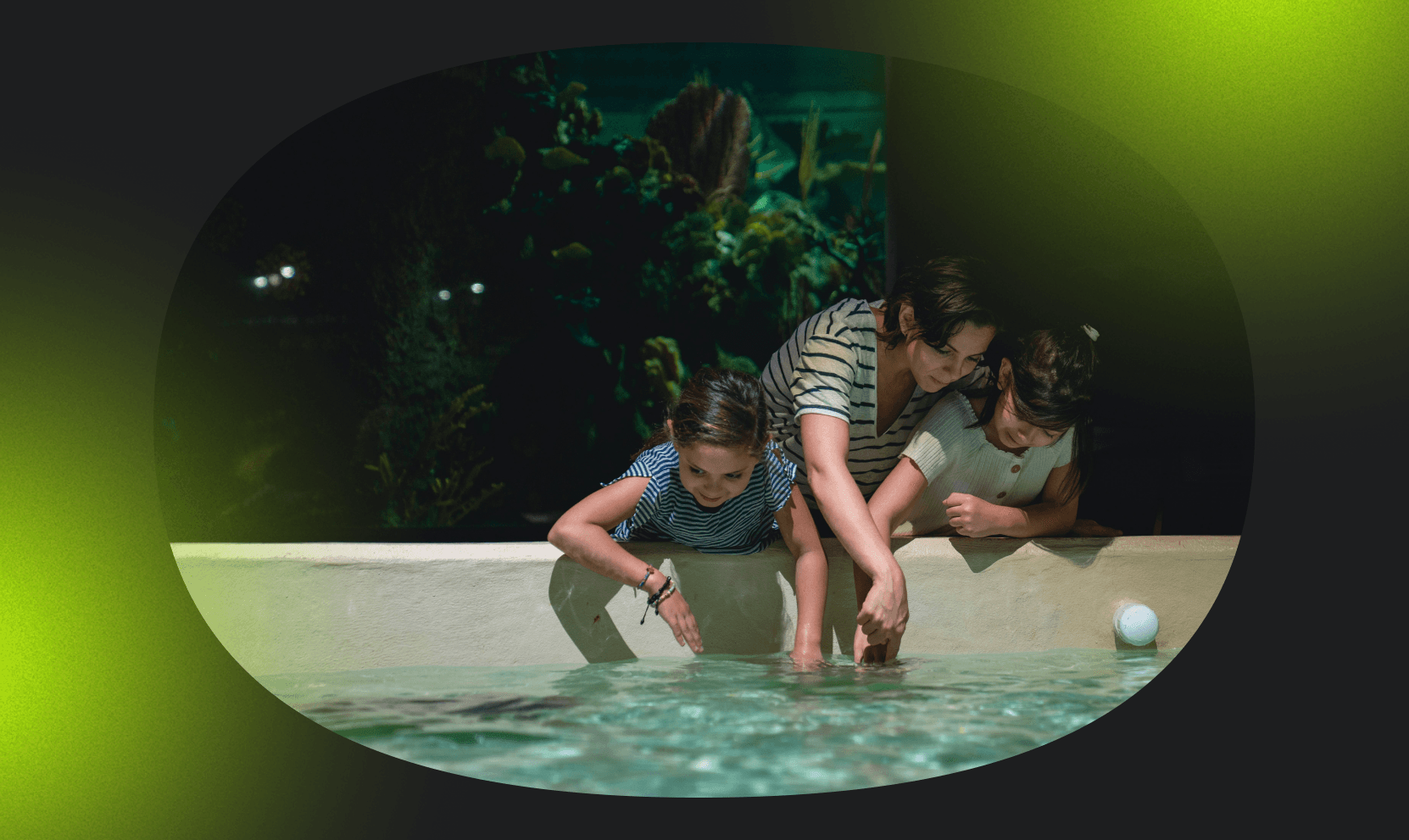 A woman and two children are dipping their hands into a pool where an animal can be seen swimming